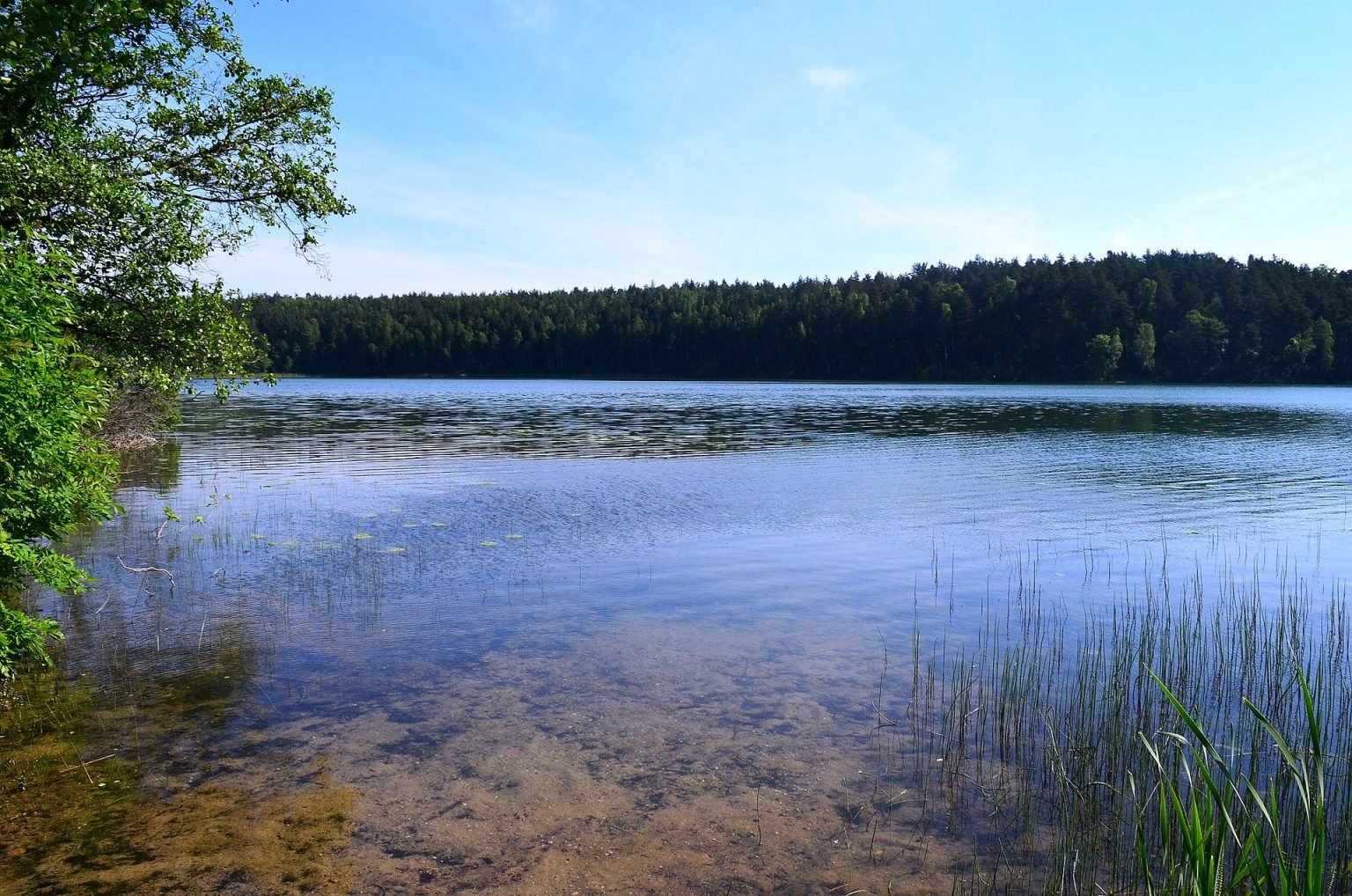 Remains of Medieval Soldier Found With Sword & Knives in Lake | The ...