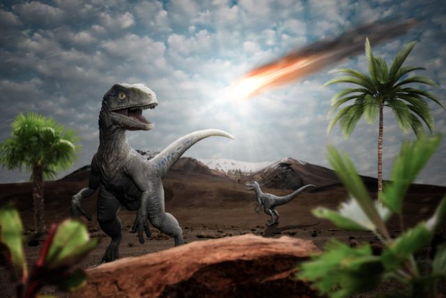 Artist's depiction of an asteroid wiping out the dinosaurs