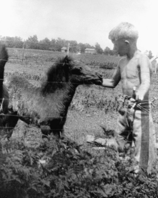 Jimmy Carter petting a small horse as a child