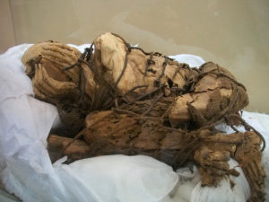 The 1,000-Year-Old Remains of a 'Petrified' Man Unearthed in Peru | The ...