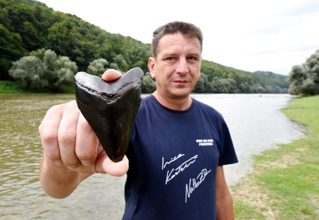 A man holding a huge tooth