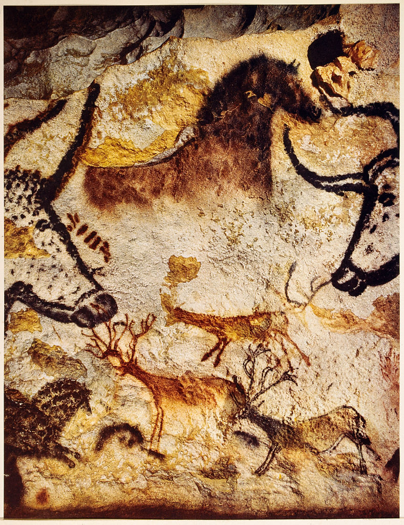 A Complete Amateur Helped to Decode Ice Age Cave Art LaptrinhX / News