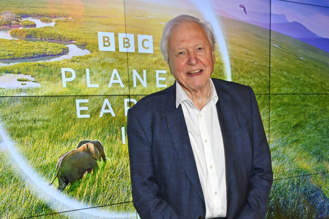 Portrait of David Attenborough