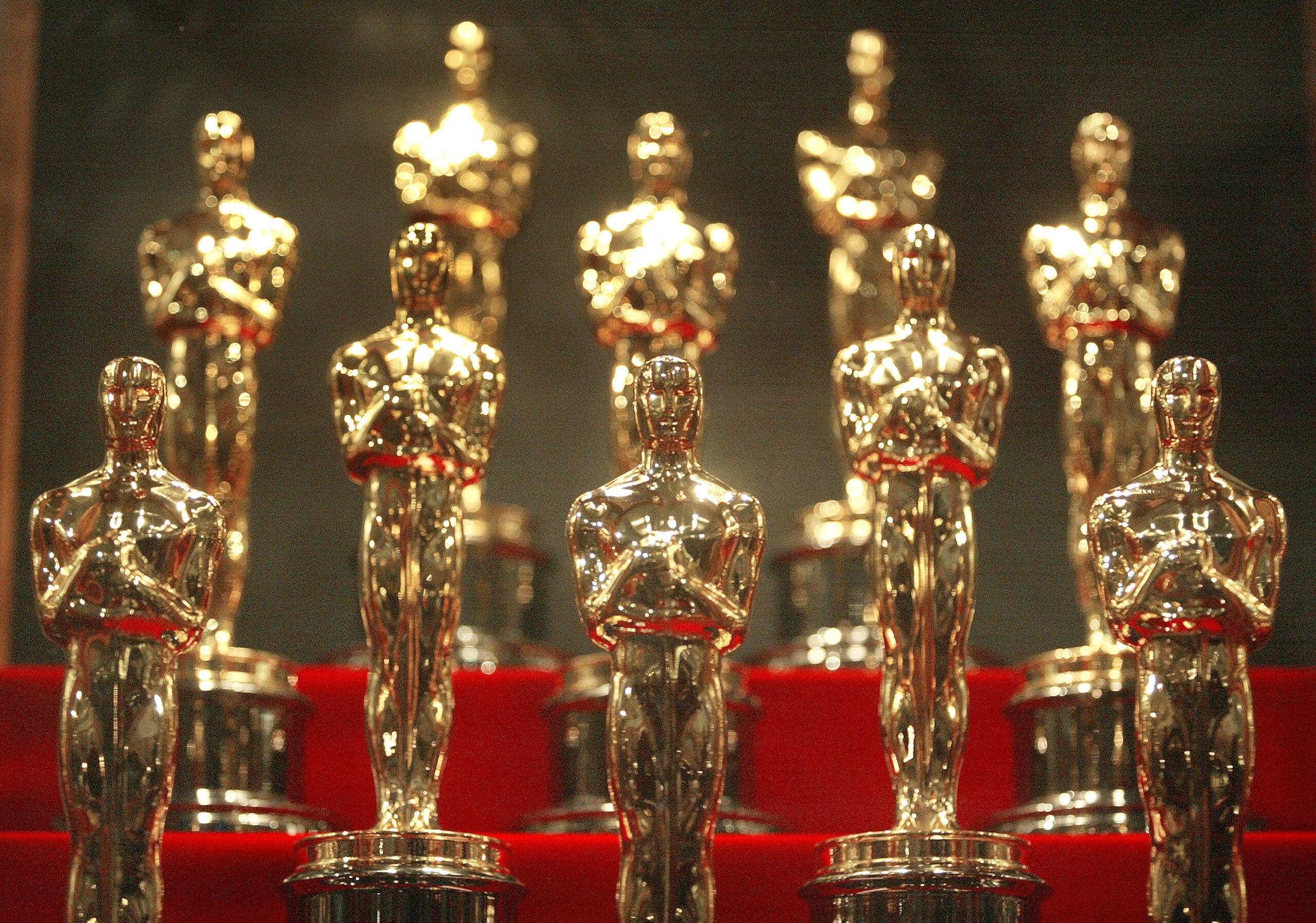 Oscar statuettes are displayed during an unveiling of the 50 Oscar statuettes to be awarded at the 76th Academy Awards ceremony (Photo Credit: Tim Boyle/Getty Images)