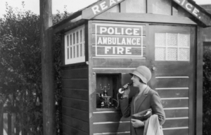 A woman on the phone at an emergency box.