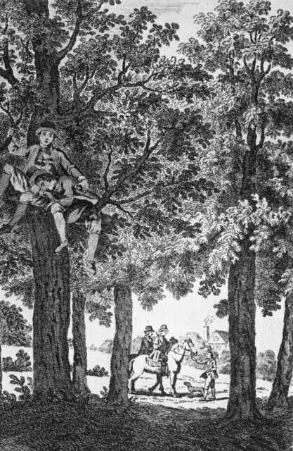 An illustration of King Charles II hiding in a tree.