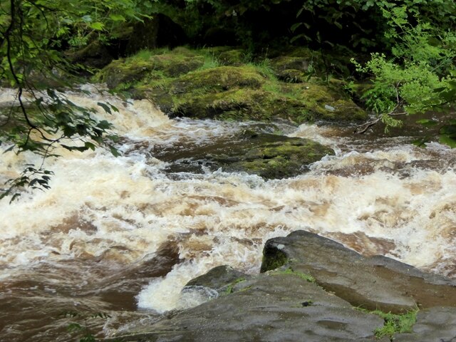 View of the Bolton Strid