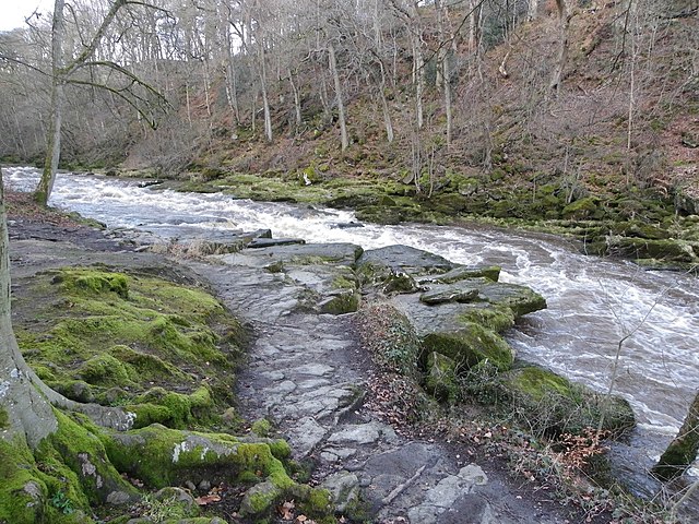 View of the Bolton Strid