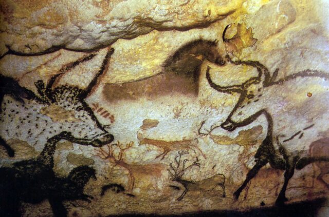 Cave paintings of bulls.