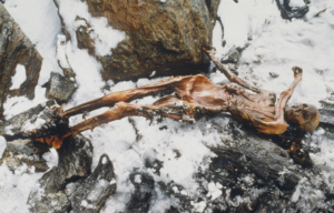 A mummified body laying on icy ground.