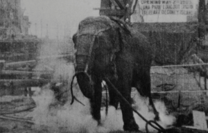 Topsy the Elephant with smoke rising around its legs.