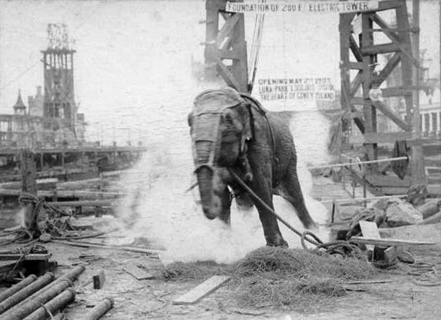 Topsy the Elephant with smoke rising around its legs.